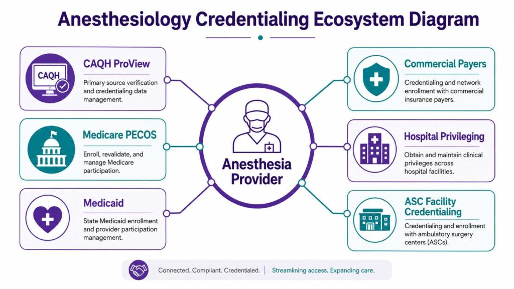 Anesthesiology credentialing ecosystem diagram connecting anesthesia providers with CAQH, PECOS, Medicaid, payers, hospitals, and ASCs